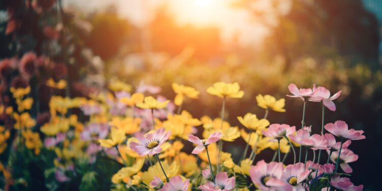 En Guide til Indendørs Havearbejde: Bring Naturen Indenfor