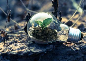 Kørsel af Bæredygtighed: Grøn Økonomiinitiativer, der Former Fremtiden