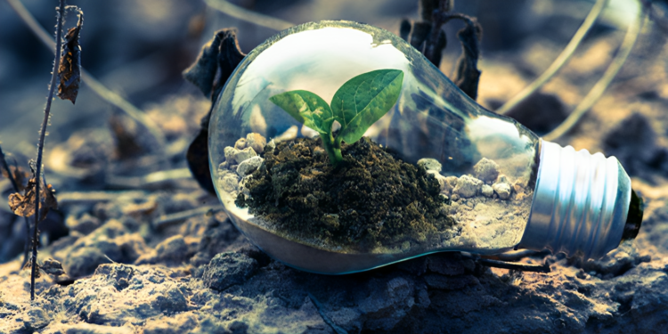 Kørsel af Bæredygtighed: Grøn Økonomiinitiativer, der Former Fremtiden