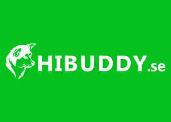 Introduktion til Hibuddy: En Pioner inden for Teknologiske Løsninger