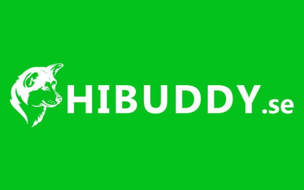 Introduktion til Hibuddy: En Pioner inden for Teknologiske Løsninger