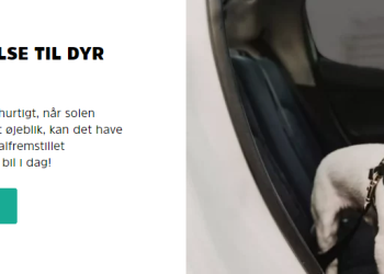 Solarplexius: Hvorfor Danskerne Elsker Dette Firma