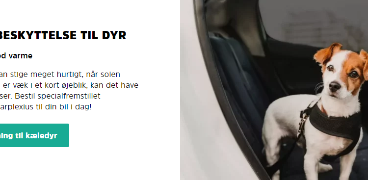 Solarplexius: Hvorfor Danskerne Elsker Dette Firma