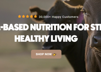 Den Sen Nutrition: Ett Steg Framåt Inom Hälsokost