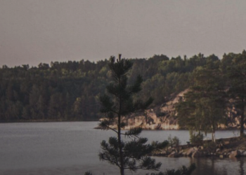 Vad är Beredd och vad erbjuder de
