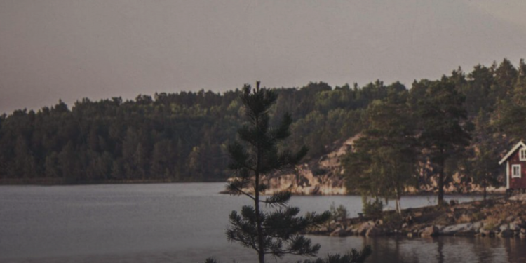 Vad är Beredd och vad erbjuder de